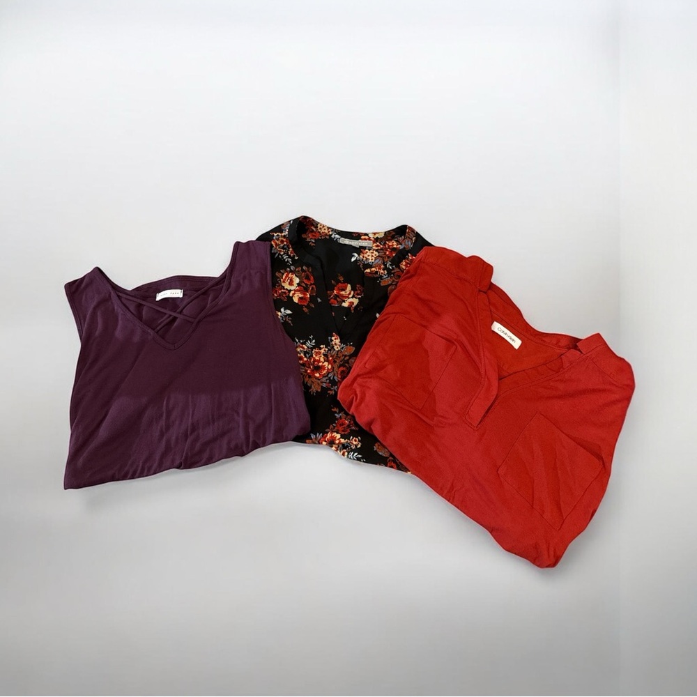 Fantastic  3️⃣ piece bundle, one sleeveless top and two 3/4 sleeve blouses.